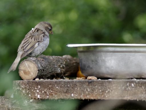Offerte maken voorbeeld voor kleine bedrijven