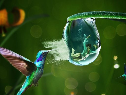 Menselijke fouten vormen de grootste bedreiging voor digitale veiligheid in het MKB