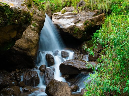 Stijgende dieselprijzen en de impact op de energiemarkt