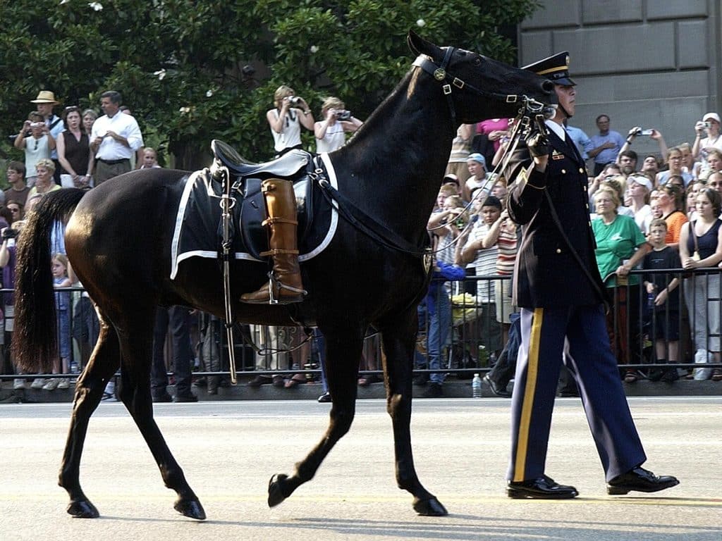 Zijn representatiekosten aftrekbaar voor jouw bedrijf?