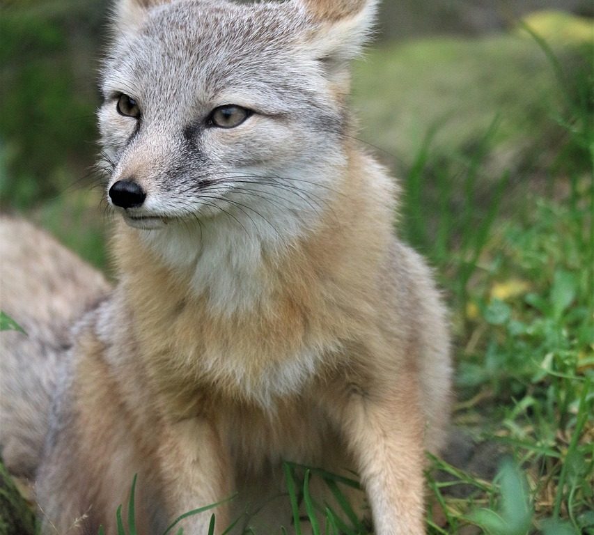 Nieuwe mogelijkheden voor ontwikkelaars met Tangled’s gedecentraliseerde code-hosting