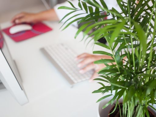 Waarom desinvesteringsbijtelling belangrijk is voor ondernemers