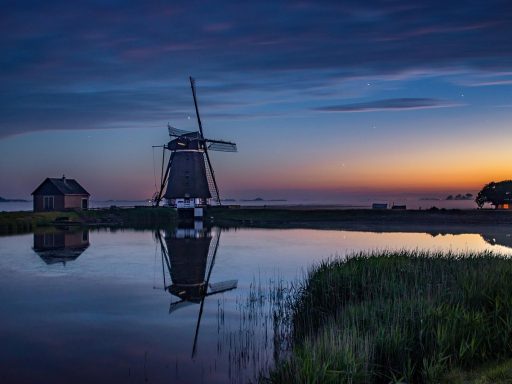 Waarom steeds meer webwinkels in Nederland kiezen voor Shopify