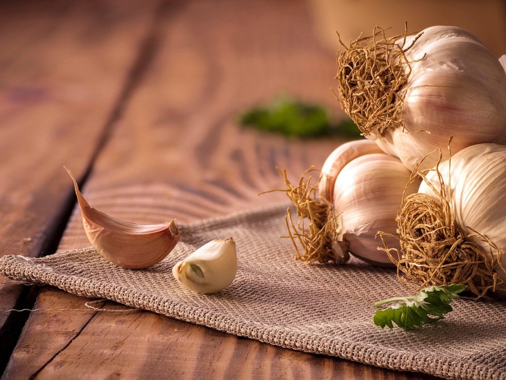 Welke kantoorplanten zijn het meest onderhoudsvriendelijk?